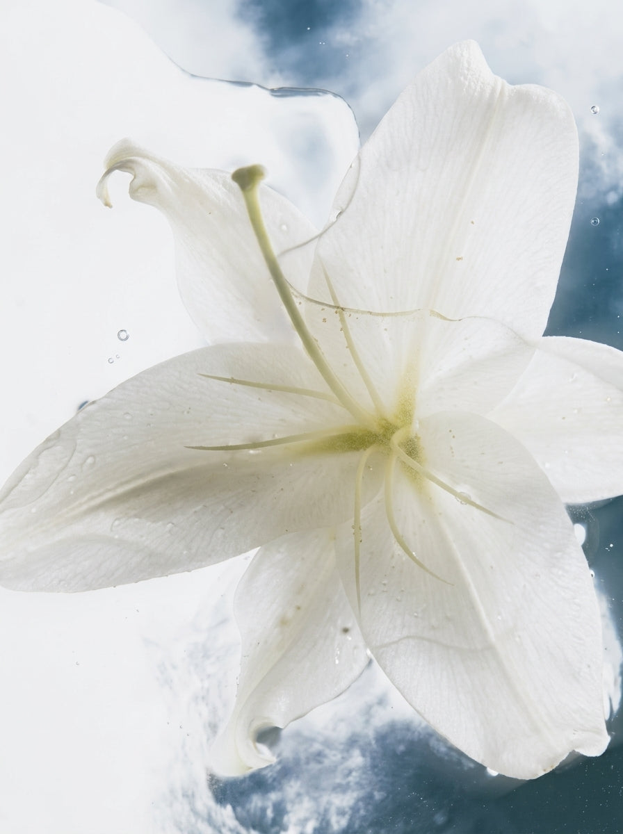 Sensitive Skin Body Cream